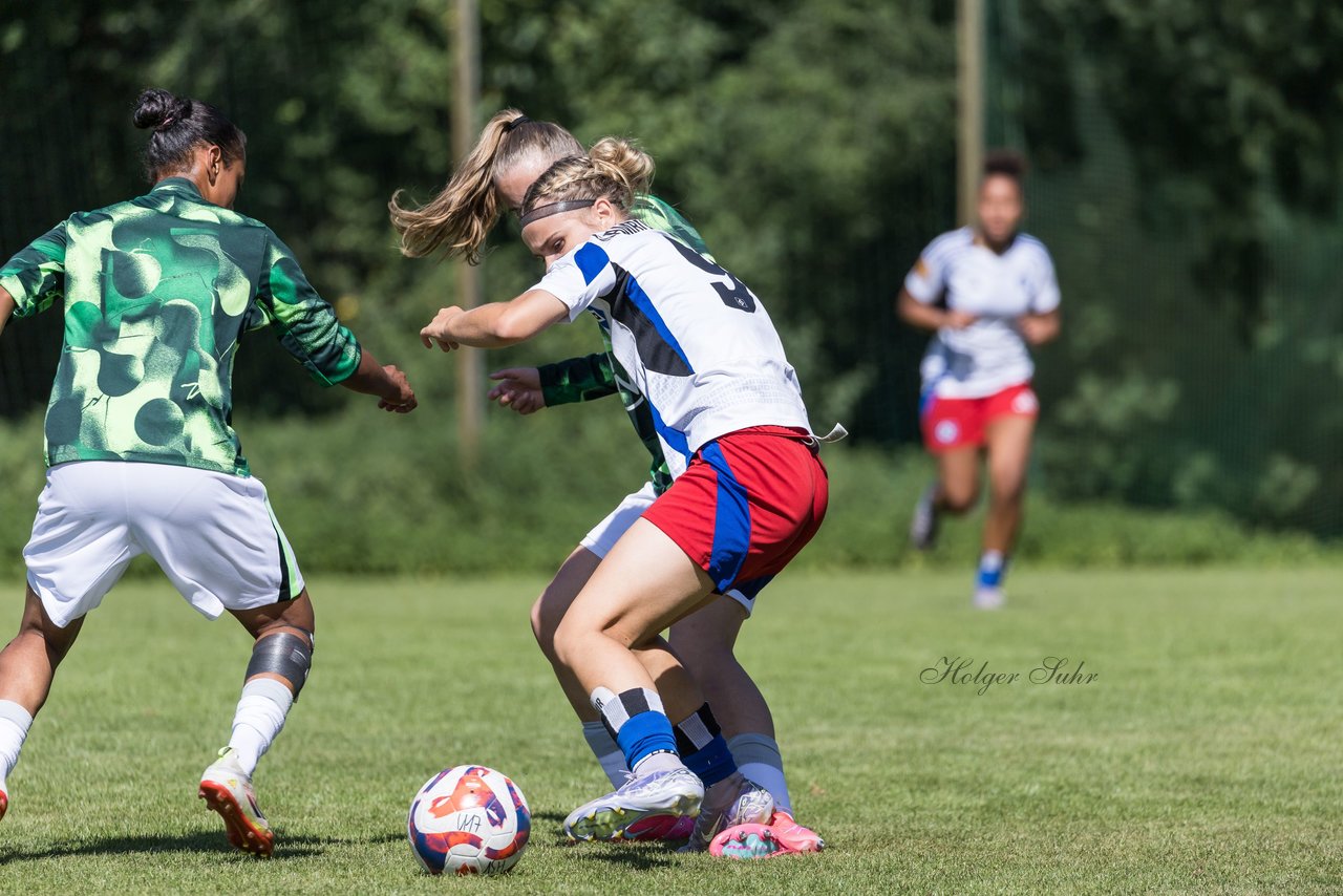 Bild 436 - wBJ Hamburger SV - VfL Wolfsburg : Ergebnis: 5:1